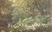 Richard Doyle Linder the Dock Leaves-An Autumnal Evening's Dream (mk46) Sweden oil painting artist